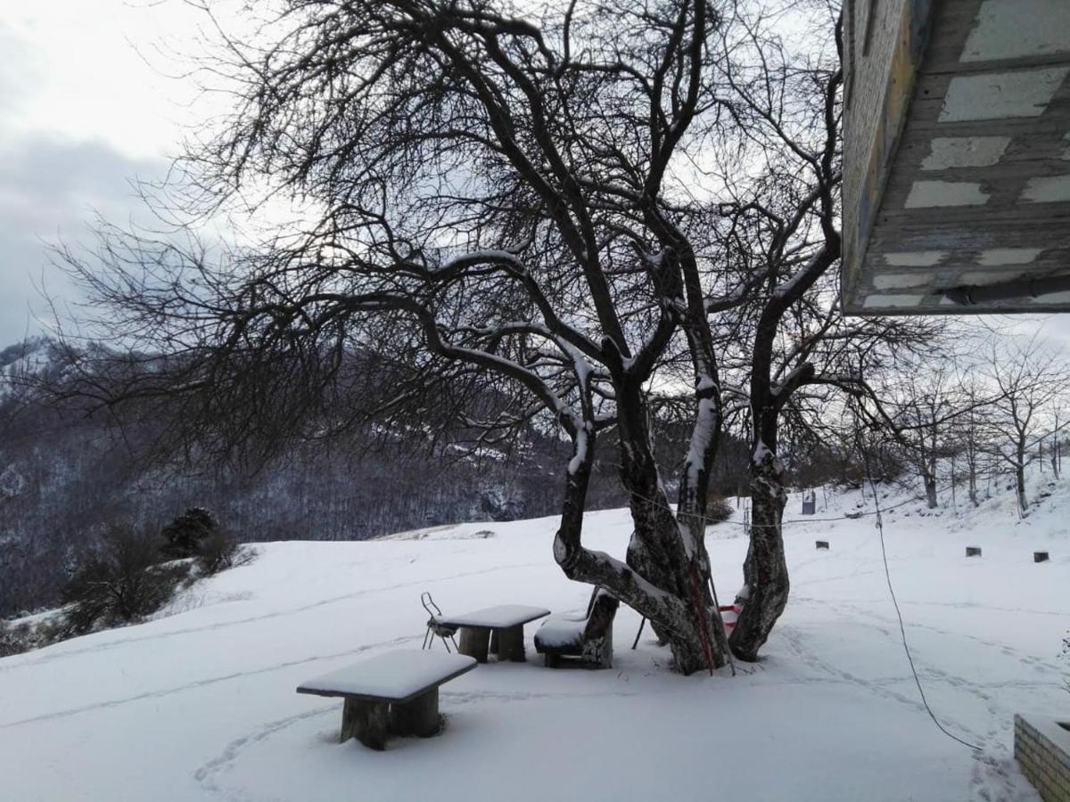 Bujtina E Tomorrit Hotel Ujanik ภายนอก รูปภาพ