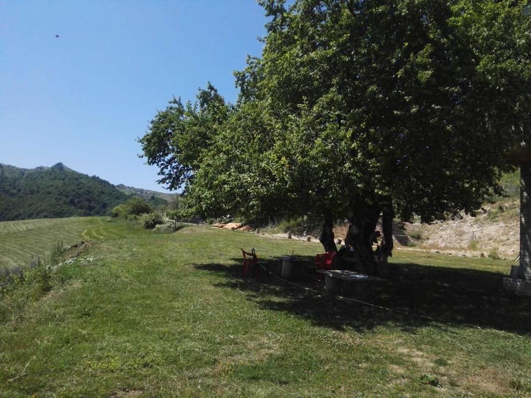 Bujtina E Tomorrit Hotel Ujanik ภายนอก รูปภาพ