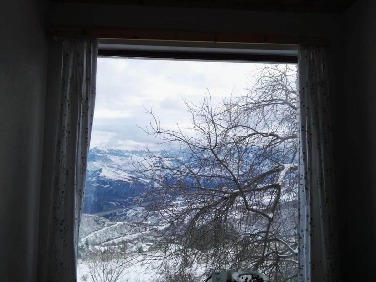 Bujtina E Tomorrit Hotel Ujanik ภายนอก รูปภาพ