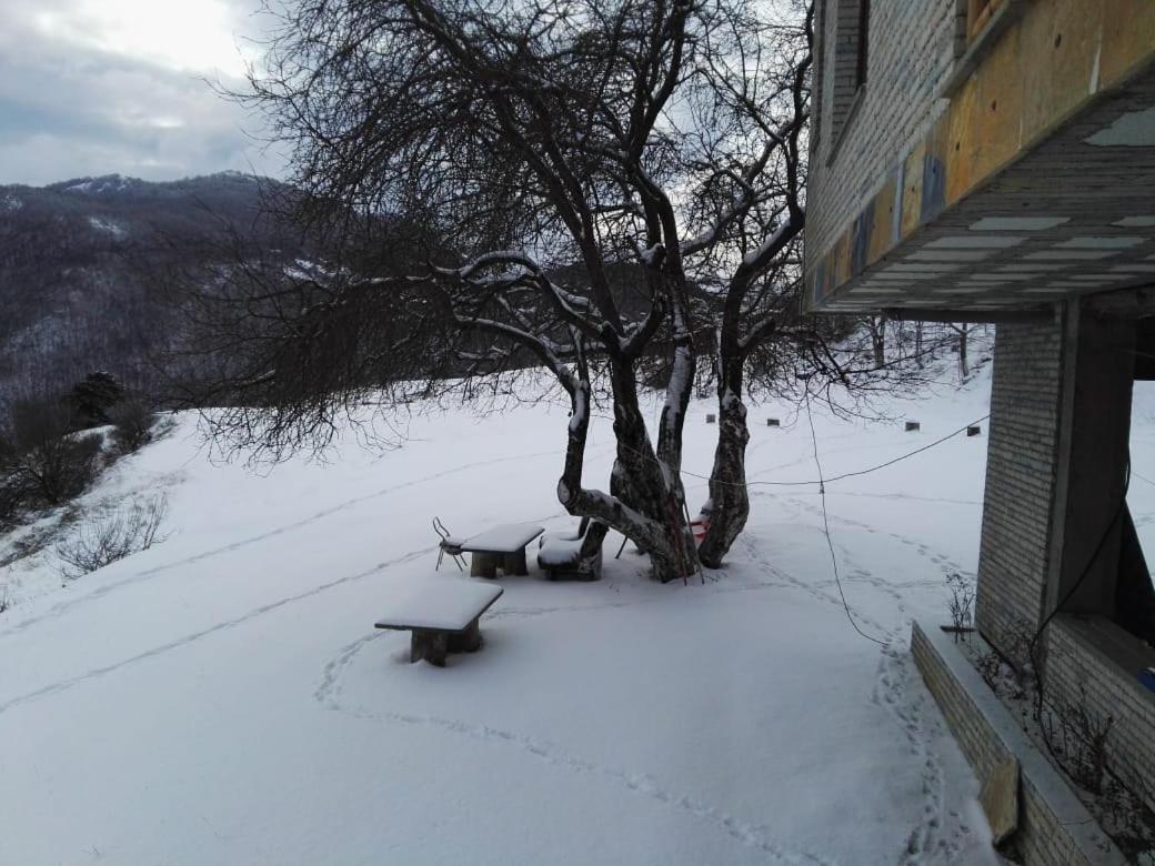 Bujtina E Tomorrit Hotel Ujanik ภายนอก รูปภาพ